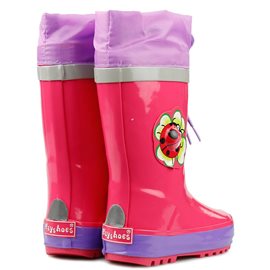 Regenlaars Lieveheersbeestje Regenlaars Lieveheersbeestje