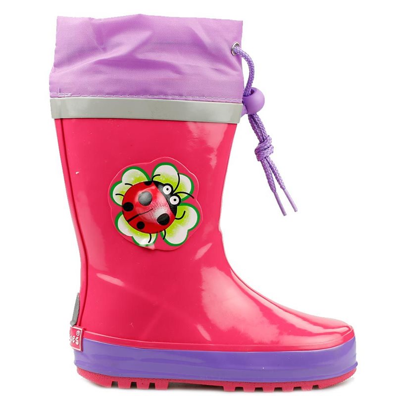Regenlaars Lieveheersbeestje Regenlaars Lieveheersbeestje