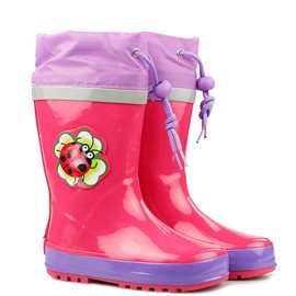 Regenlaars Lieveheersbeestje Regenlaars Lieveheersbeestje