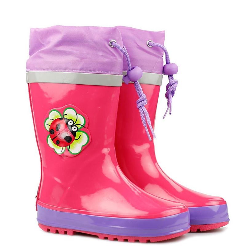 Regenlaars Lieveheersbeestje Regenlaars Lieveheersbeestje